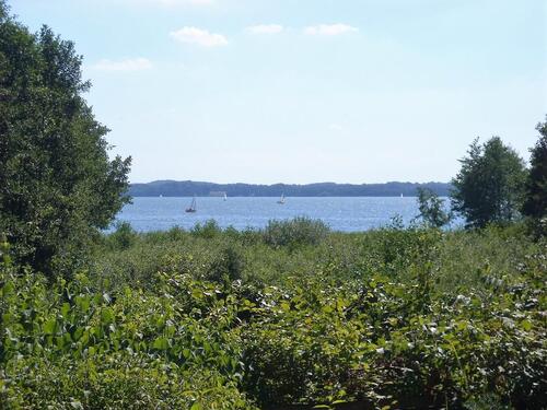 Foto - andere in Groß Grönau zur Miete