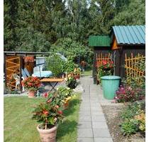 Kleingarten, Garten, Naschgarten - Heidenau