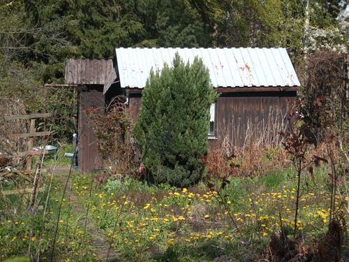 Foto - Grundst&uuml;ck in Heidenau zur Miete