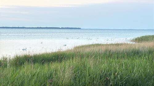 Foto - Ferienbungalow Ostsee Nähe, zw. Greifswald und Stralsund
