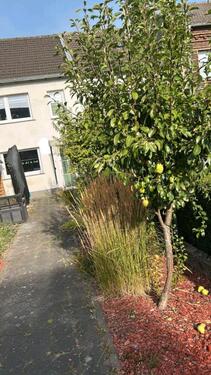 Foto - 3 Zimmer Reihenhaus zum Kaufen in Mechernich