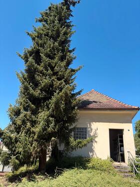 Foto - 2 Zimmer Einfamilienhaus zum Kaufen in Göppingen