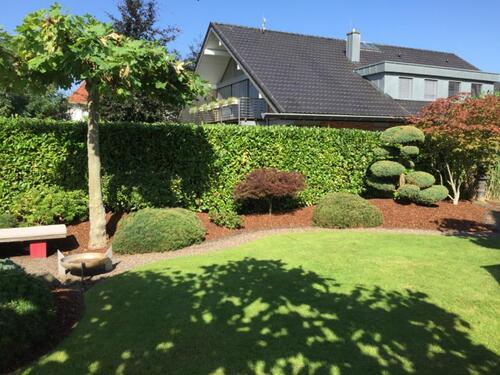 Foto - 7 Zimmer Einfamilienhaus in Rheda-Wiedenbrück