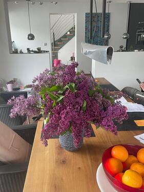 Foto - 5 Zimmer Etagenwohnung zur Miete in Osnabrück