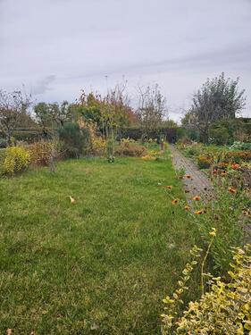 Foto - Grundst&uuml;ck in Malchin zur Miete