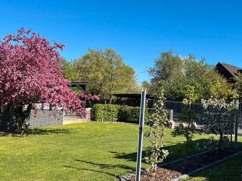 Foto - andere in Schönbrunn im Steigerwald