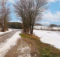 AUKTION: 0,6 ha Landwirtschafts-Verkehrsfläche - Amtsberg