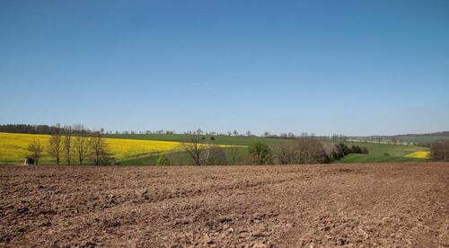 Foto - Ackerfläche 6.719 m2 32139 Spenge Bio-LandwirtschaftStilllegung