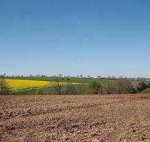 Ackerfläche 6.719 m2 32139 Spenge Bio-LandwirtschaftStilllegung