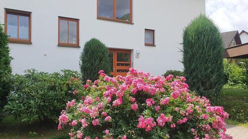 Foto - 3 Zimmer Erdgeschoßwohnung in Chemnitz