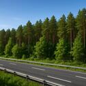 Foto - Ihr Stück Wald direkt an der A15