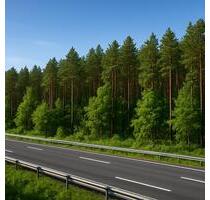 Ihr Stück Wald direkt an der A15 - Kolkwitz