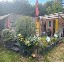 Tiny Haus Ferienunterkunft Insel Rügen im Grünen Wassernähe - Sellin