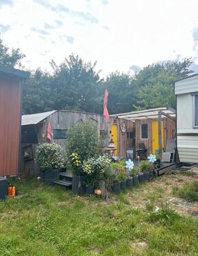 Foto - 3 Zimmer Bungalow zum Kaufen in Sellin