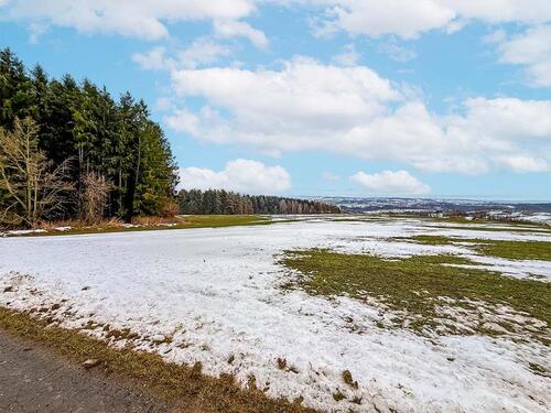 Foto - AUKTION: 0,3 ha Acker- und Grünland