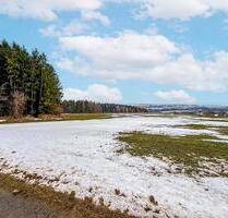 AUKTION: 0,3 ha Acker- und Grünland - Gelenau/Erzgebirge