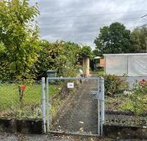 1 Kleingarten 200m² zur Pacht neu abzugeben - Heidenau