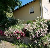 FerienhausFerienwohnung, Bayern, Franken, Haßberge - Maroldsweisach