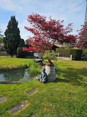 Foto - 