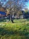 Foto - Einfamilienhaus in Wiesenburg/Mark