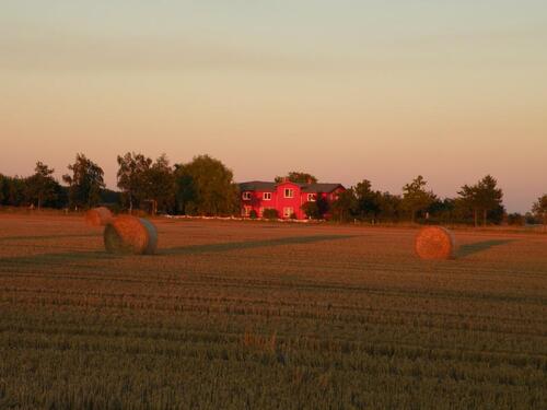 Foto - Ferienwohnung an der Ostsee - 65,00&nbsp;EUR Kaltmiete,