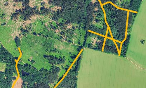 Foto - AUKTION: 0,8 ha Wegeflächen nördlich von Königshain