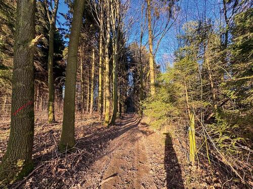 Foto - Grundst&uuml;ck zum Kaufen in Markersdorf