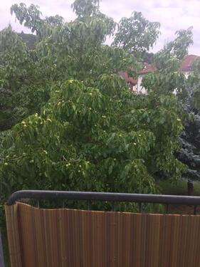 Foto - 2 Zimmer Etagenwohnung in Mosbach