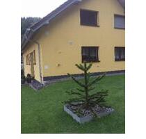 wollen sie wohnen wo andere urlaub machen Top 4Zimmer 1oo qm - Queidersbach