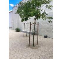 Neubau (2022) im Ortskern von Arheilgen - Darmstadt Darmstadt-Nord