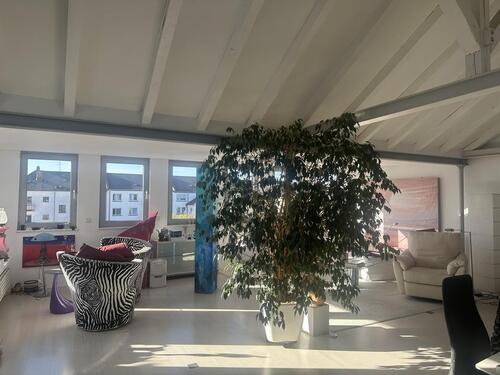 Foto - Möblierte helle 2 Zimmer WG Nähe Rheinpromenade