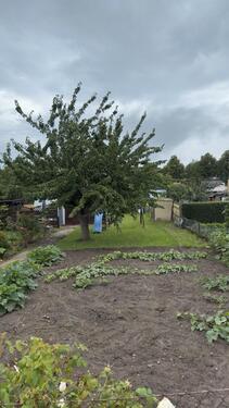 Foto - Kleingarten - Garten in Helmstedt