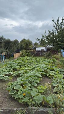 Foto - Grundst&uuml;ck zur Miete in Helmstedt