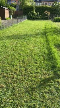 Foto - Garten direkt am Rhein gelegen zur Miete