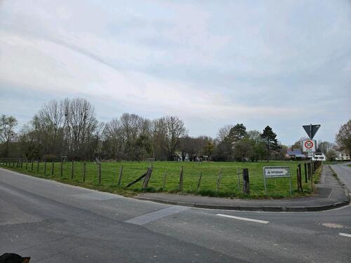 Foto - Wiese zu verpachten - 120,00&nbsp;EUR Kaltmiete, ca.&nbsp; 0,00&nbsp;m&sup2;