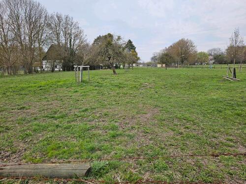 Foto - Grundst&uuml;ck in Bad Sassendorf