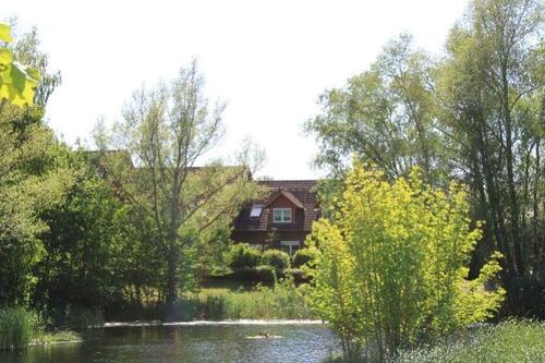 Foto - 2 Zimmer Etagenwohnung zur Miete in Benz