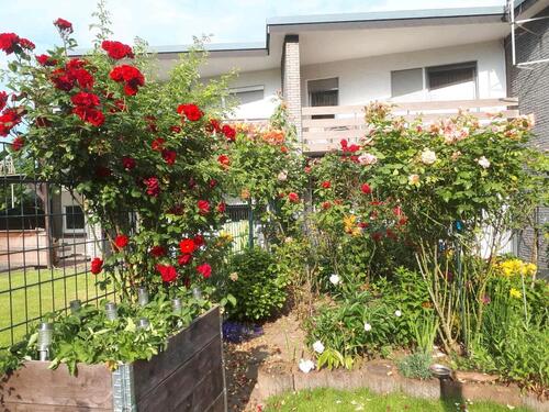 Foto - Einfamilienhaus zum Kaufen in Duisburg