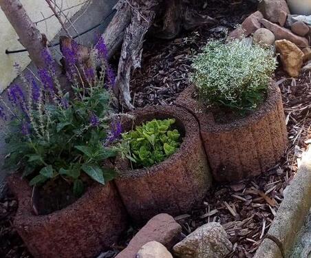 Foto - Grundstück zur Miete in Haldensleben