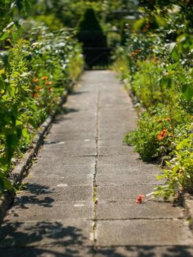 Foto - Kleingarten am Steinertsberg zur Pacht