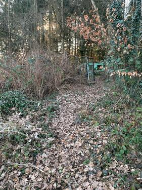 Foto - Grundst&uuml;ck in Brücken (Pfalz)