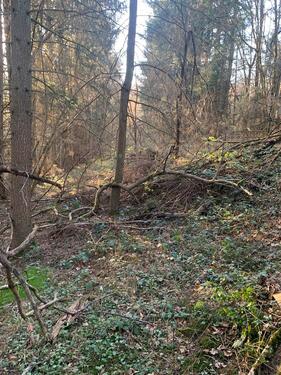 Foto - Grundst&uuml;ck in Brücken (Pfalz) zur Miete