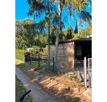 Freizeit Wochenend-Erholungsgrundstück!!! Kein Verein!!! - Dessau-Roßlau