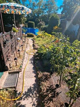 Foto - Grundstück zur Miete in Dessau-Roßlau