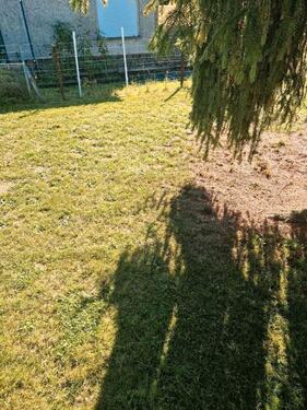 Foto - Grundstück in Dessau-Roßlau