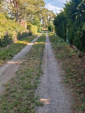 Foto - Grundstück in Dessau-Roßlau zur Miete