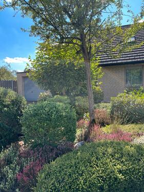 Foto - Einfamilienhaus in Halle zum Kaufen