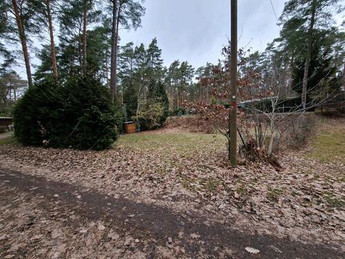 Foto - Grundstück zur Miete in Coswig (Anhalt)