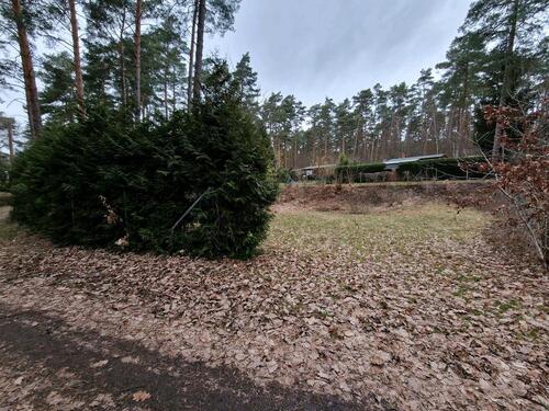 Foto - Grundstück in Coswig (Anhalt)