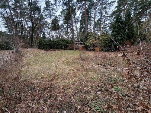 Foto - Grundstück in Coswig (Anhalt) zur Miete